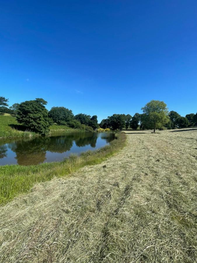 East Learmouth Lakeside - Larch Campsite