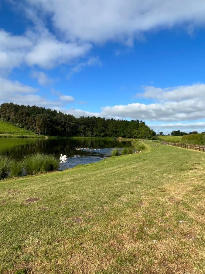 Campsite East Learmouth Lakeside - Larch