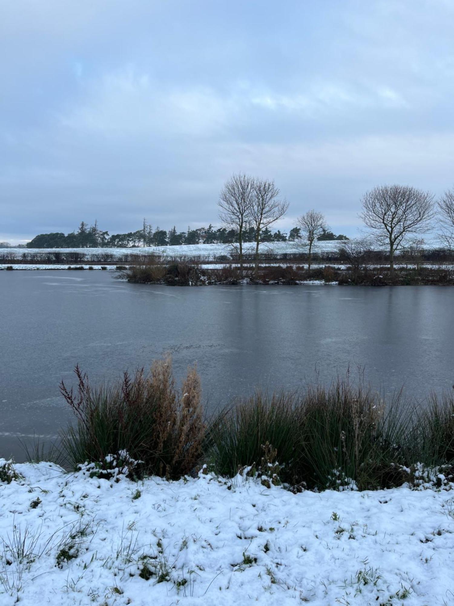 East Learmouth Lakeside - Larch *