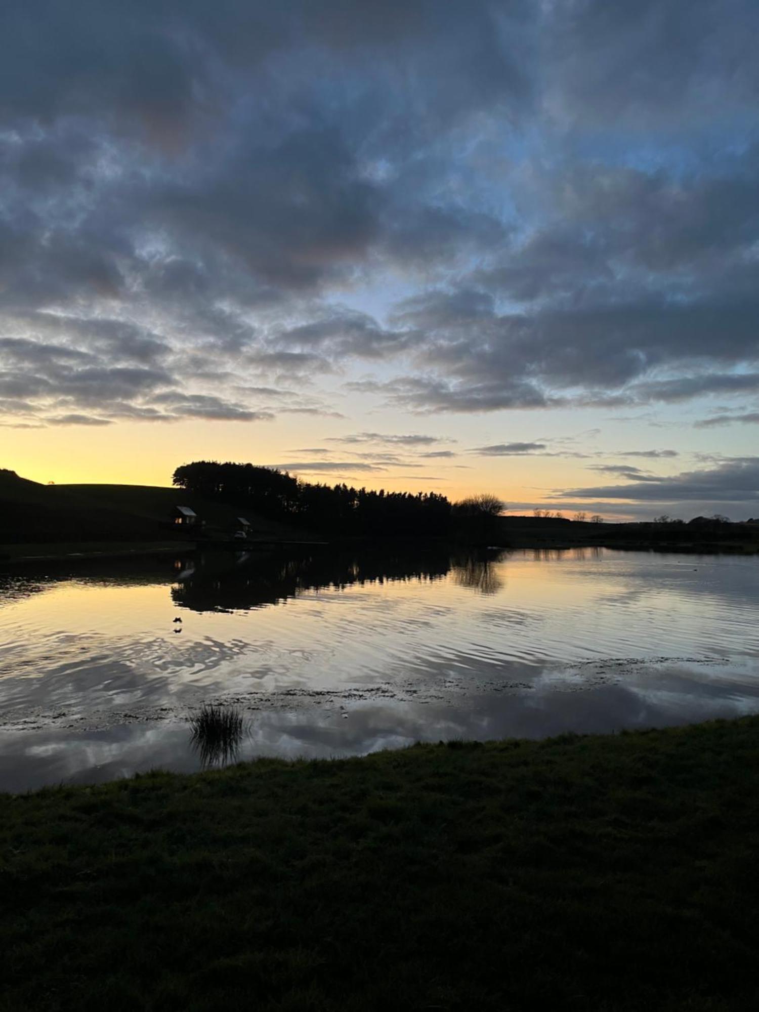 East Learmouth Lakeside - Larch