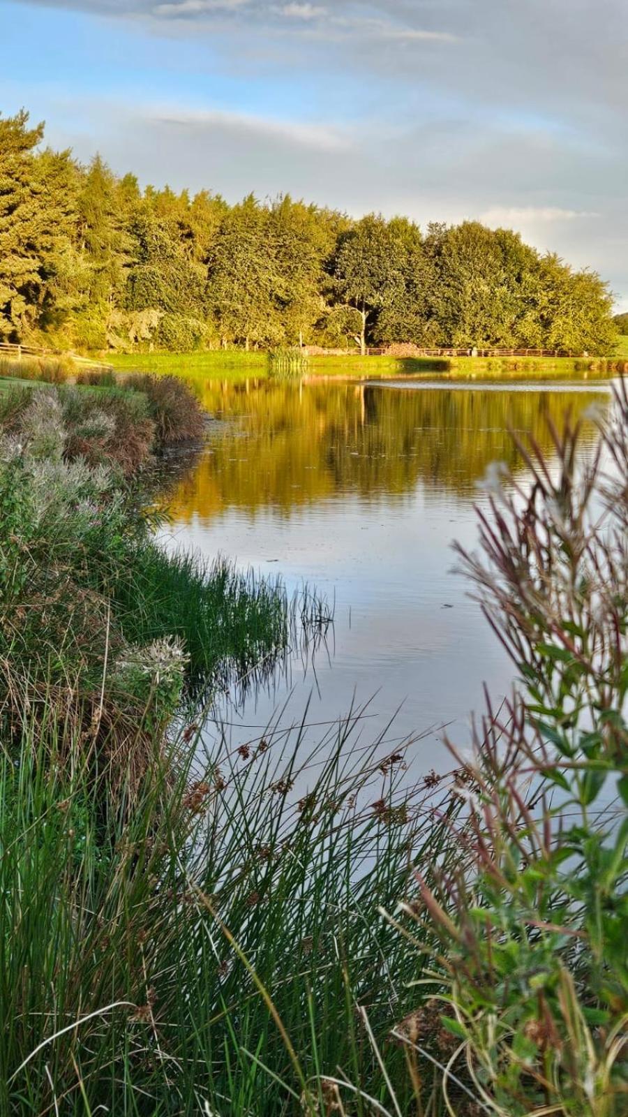 East Learmouth Lakeside - Larch Cornhill on Tweed