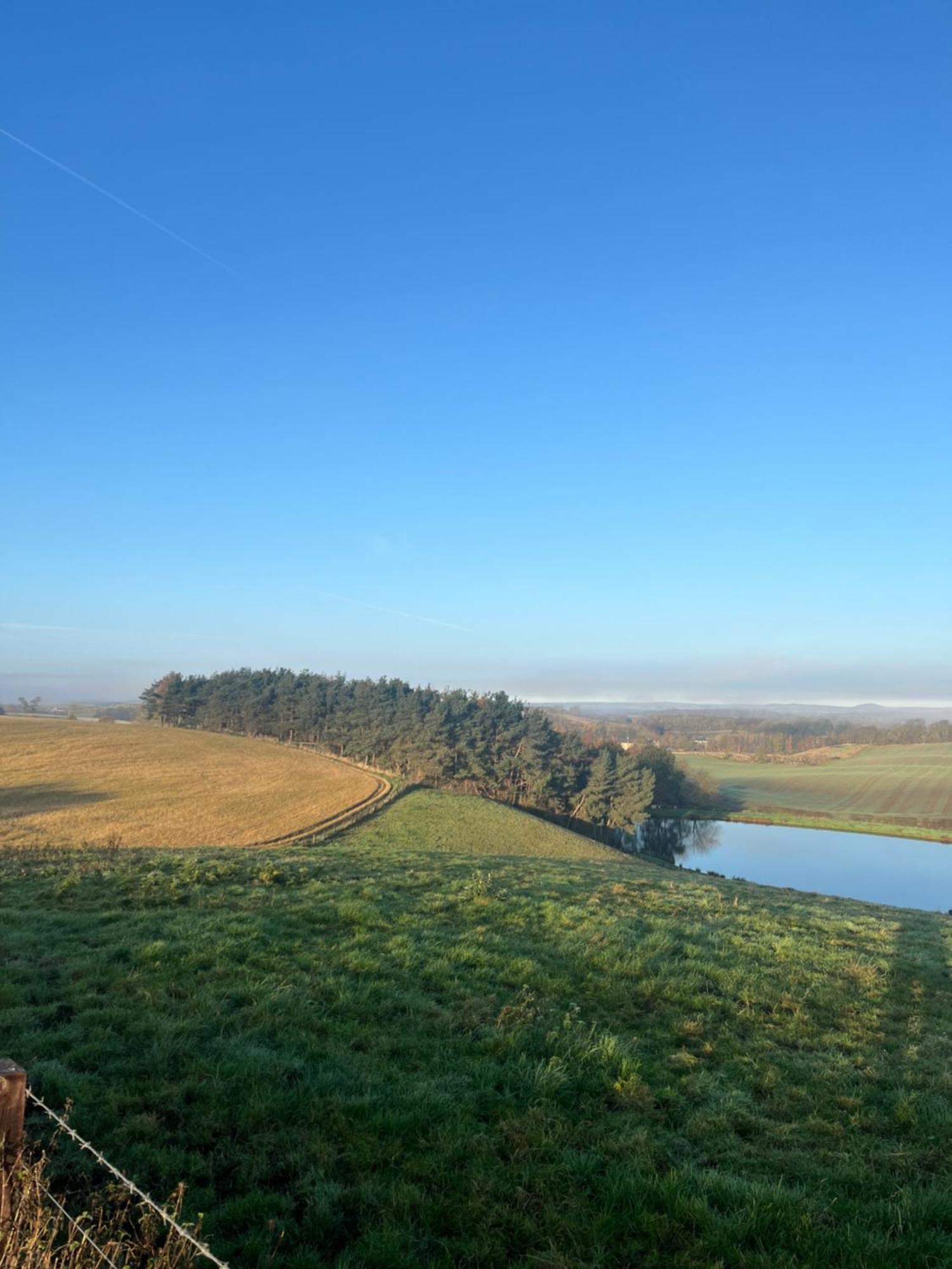 East Learmouth Lakeside - Larch Cornhill on Tweed